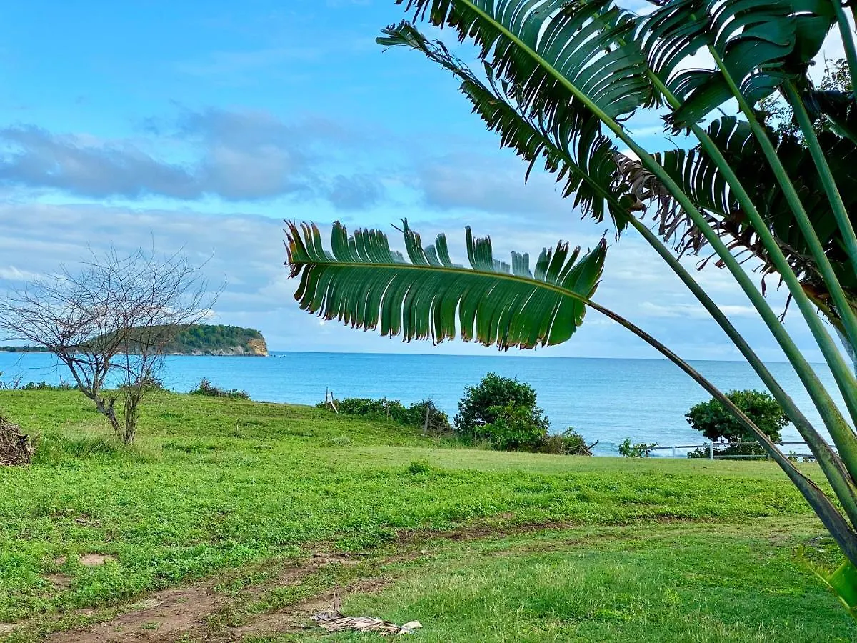 Blue Horizon Boutique Resort (Adults Only) Vieques