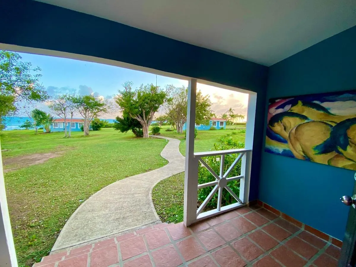Blue Horizon Boutique Resort (Adults Only) Vieques Puerto Rico