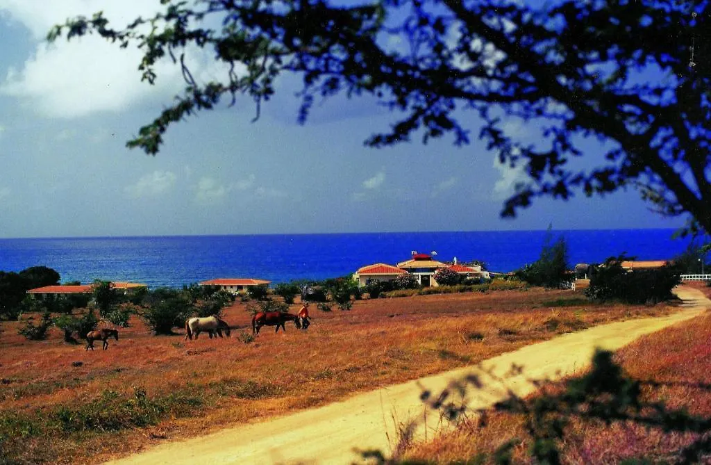 Blue Horizon Boutique Resort (Adults Only) Vieques