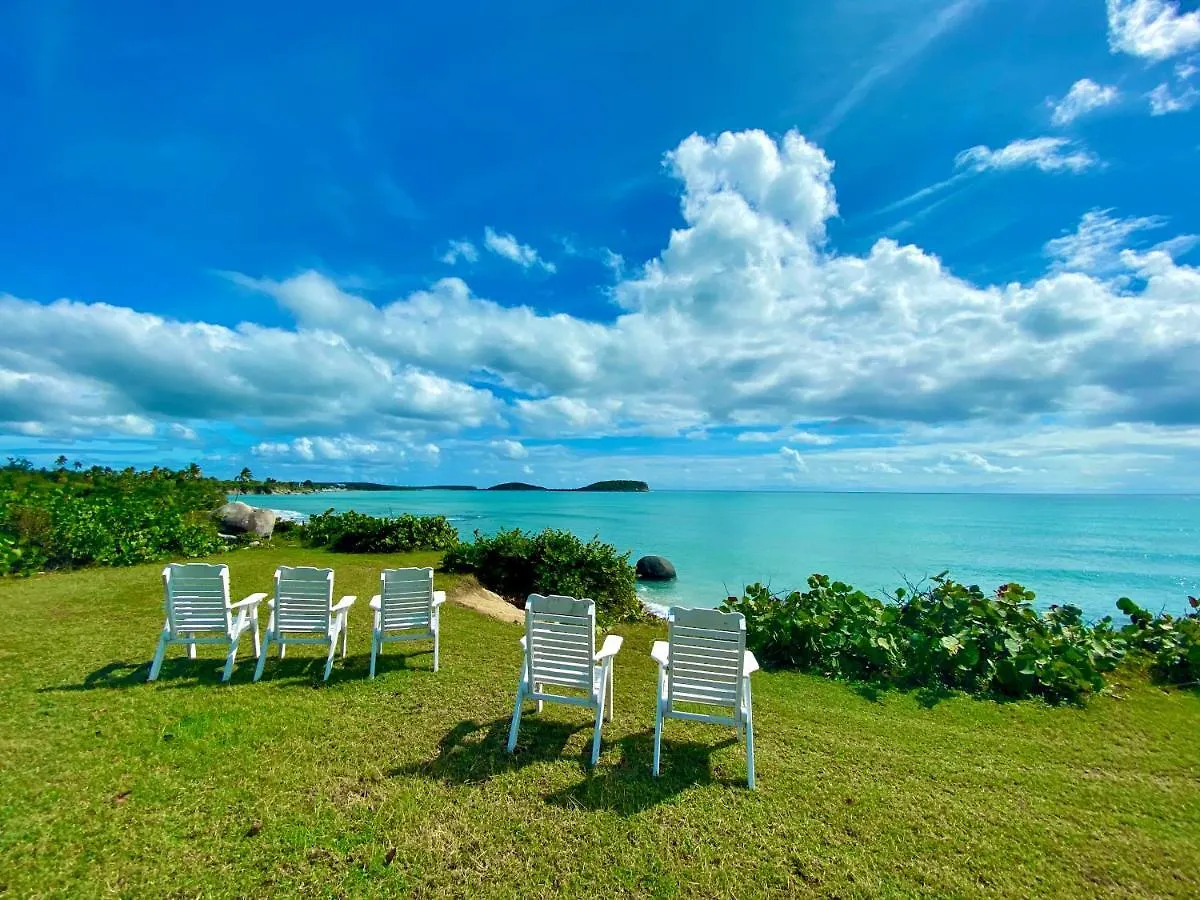 Blue Horizon Boutique Resort (Adults Only) Vieques Hotel