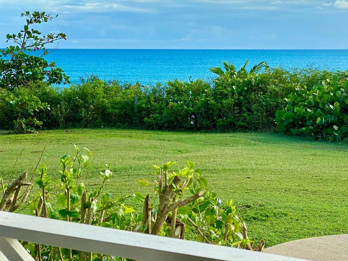 **** Hotel Blue Horizon Boutique Resort (Adults Only) Vieques Puerto Rico